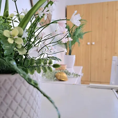 Orion Apartment *