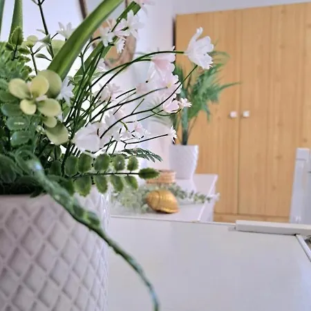 Orion Apartament Alónnisos