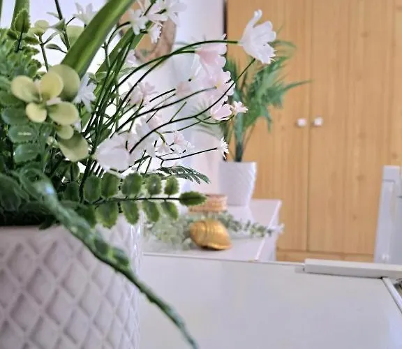 Orion Appartamento Alónnisos