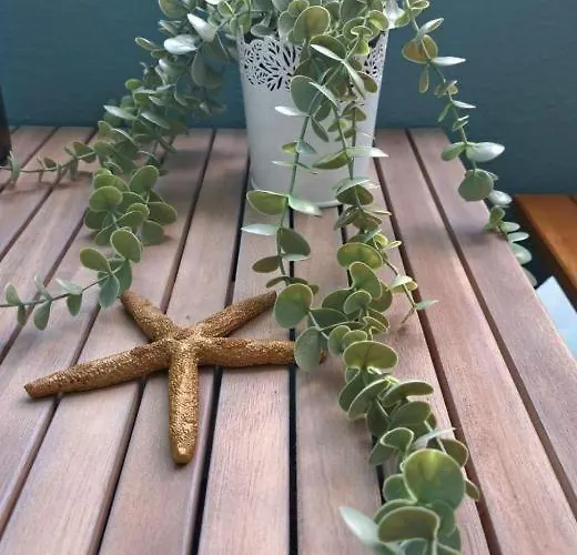 Appartamento Orion *